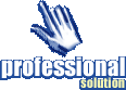 Professional Solution - Aimed for individuals who understand just how invaluable Internet Marketing is and are ready to maximise their sites' potential